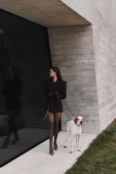 Staffordshire Bull Terrier štěňata